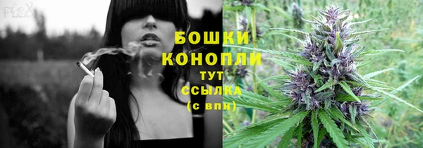 spice Инсар